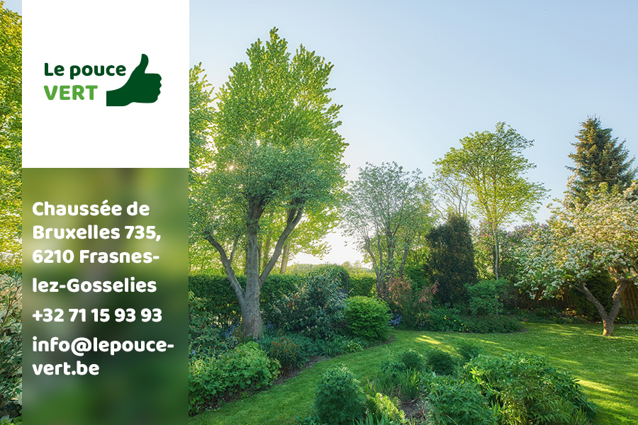Le Pouce Vert