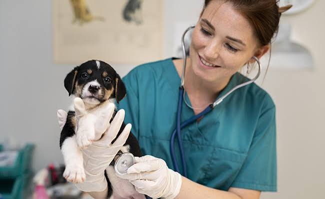 DELTA Vet